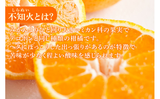 知多市産不知火ジュース　2本 ／ 果汁飲料 柑橘 無添加 愛知県 特産品