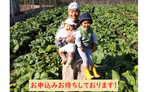 【自然栽培】大和の伝統野菜 下北春まな2kg 草野自然農園 国産野菜