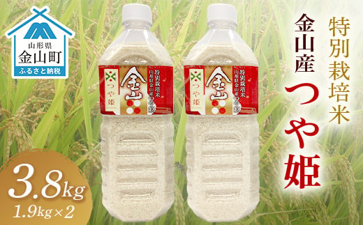 令和6年産米 金山産米「つや姫1.9kg」（ペットボトル入り）×2本セット 計3.8kg 米 お米 白米 ご飯 精米 ブランド米 つや姫 送料無料 東北 山形 金山町 F4B-0485