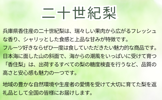 【訳あり 梨 20世紀梨 5kg（10～18玉）】9/9が最終受付です サイズバラつき有り（L～5L）傷あり 不揃い ご家庭用 大人気 二十世紀梨 果肉はしっかり シャキシャキの食感 ほどよい甘さとみずみずしさ 日本海に面する梨の本場 兵庫県香美町で育つ「香住梨」糖度を計測して出荷 兵庫県 香美町 フルーツ ナシ 青梨 和梨 ふるさと納税 JAたじま 12500円 12-20