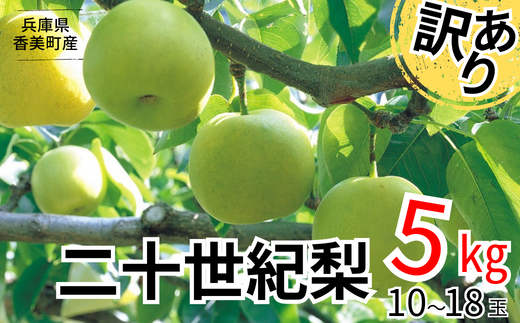 【訳あり 梨 20世紀梨 5kg（10～18玉）】9/9が最終受付です サイズバラつき有り（L～5L）傷あり 不揃い ご家庭用 大人気 二十世紀梨 果肉はしっかり シャキシャキの食感 ほどよい甘さとみずみずしさ 日本海に面する梨の本場 兵庫県香美町で育つ「香住梨」糖度を計測して出荷 兵庫県 香美町 フルーツ ナシ 青梨 和梨 ふるさと納税 JAたじま 12500円 12-20