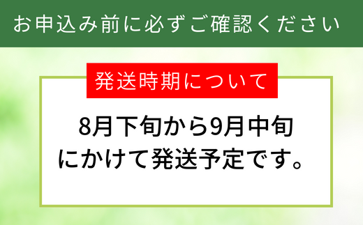 【訳あり 梨 20世紀梨 5kg（10～18玉）】9/9が最終受付です サイズバラつき有り（L～5L）傷あり 不揃い ご家庭用 大人気 二十世紀梨 果肉はしっかり シャキシャキの食感 ほどよい甘さとみずみずしさ 日本海に面する梨の本場 兵庫県香美町で育つ「香住梨」糖度を計測して出荷 兵庫県 香美町 フルーツ ナシ 青梨 和梨 ふるさと納税 JAたじま 12500円 12-20