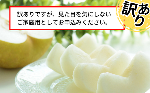 【訳あり 梨 20世紀梨 5kg（10～18玉）】9/9が最終受付です サイズバラつき有り（L～5L）傷あり 不揃い ご家庭用 大人気 二十世紀梨 果肉はしっかり シャキシャキの食感 ほどよい甘さとみずみずしさ 日本海に面する梨の本場 兵庫県香美町で育つ「香住梨」糖度を計測して出荷 兵庫県 香美町 フルーツ ナシ 青梨 和梨 ふるさと納税 JAたじま 12500円 12-20