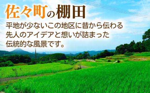 「噛めば噛むほど甘みと旨味」兵蔵さんの棚田米5kg【株式会社 FAながさき】 [QAT016]