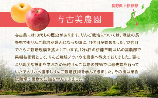 先行予約 りんご あいかの香り 約3kg セット 2024年 令和6年度発送分 リンゴ 林檎 長野 フルーツ 果物 信州産 長野県産 特産 産地直送 おすすめ 　[№5675-1070]