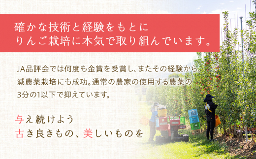 先行予約 りんご あいかの香り 約3kg セット 2024年 令和6年度発送分 リンゴ 林檎 長野 フルーツ 果物 信州産 長野県産 特産 産地直送 おすすめ 　[№5675-1070]