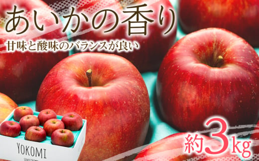 先行予約 りんご あいかの香り 約3kg セット 2024年 令和6年度発送分 リンゴ 林檎 長野 フルーツ 果物 信州産 長野県産 特産 産地直送 おすすめ 　[№5675-1070]