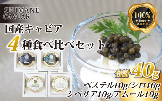 キャビア4種食べ比べセット計40g（4種各10g）