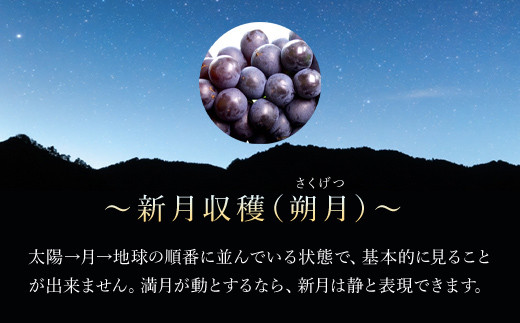 京都・三和ぶどうジュース【新月、満月収穫！ストレート果汁100％！！】720ml×2本 ふるさと納税 ぶどう ブドウ 葡萄 ぶどうジュース  ブドウジュース 葡萄ジュース フルーツ くだもの 果物 果汁 ストレート 100％ 京都府 福知山市