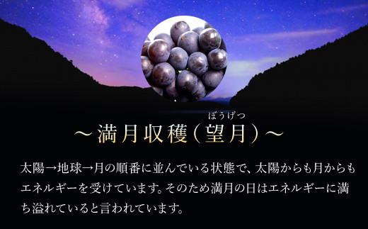 京都・三和ぶどうジュース【新月、満月収穫！ストレート果汁100％！！】720ml×2本 ふるさと納税 ぶどう ブドウ 葡萄 ぶどうジュース  ブドウジュース 葡萄ジュース フルーツ くだもの 果物 果汁 ストレート 100％ 京都府 福知山市