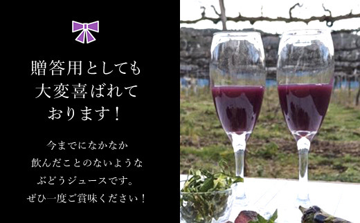 京都・三和ぶどうジュース【新月、満月収穫！ストレート果汁100％！！】720ml×2本 ふるさと納税 ぶどう ブドウ 葡萄 ぶどうジュース  ブドウジュース 葡萄ジュース フルーツ くだもの 果物 果汁 ストレート 100％ 京都府 福知山市