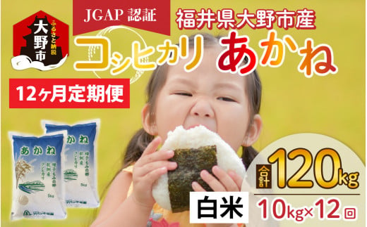 【先行予約】【令和6年産 新米】【12ヶ月定期便】福井県大野市産 JGAP認証 コシヒカリ「あかね」（白米）5kg×2袋＝10kg×12回　計120kg