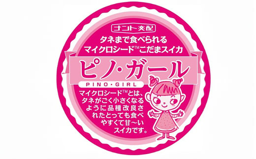 ≪先行予約≫ 農業者支援 ご家庭用 2025年 山形県産 小玉スイカ ピノガール 2玉(2kg以上×2玉)  すいか スイカ 西瓜 果物 野菜 訳あり ※沖縄・離島への配送不可 F21A-428