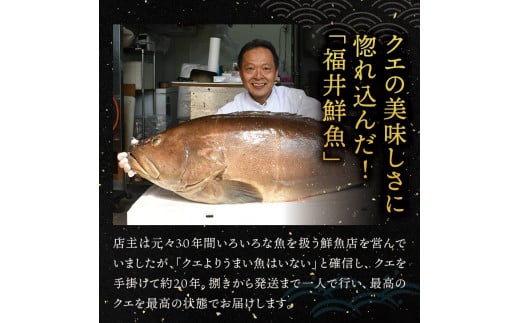 【先行予約】幻のクエ！養殖クエ鍋500gとじゃばらぽん酢100ml くえ クエ 鍋 セット 鍋セット 高級 【fki200】