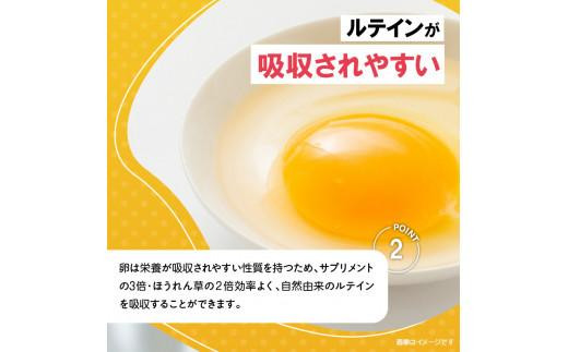 光の刺激から目を守る　ルテイン含有卵　機能性表示食品「あらん」　6個入り3パック