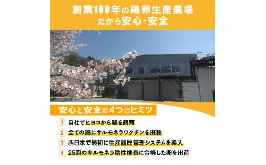 光の刺激から目を守る　ルテイン含有卵　機能性表示食品「あらん」　6個入り3パック