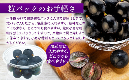 ぶどう ナガノパープル 粒パック 約2kg 皮ごと食べられる黒葡萄  葡萄 ぶどう ブドウ 長野 フルーツ 果物 信州産 長野県産 特産 産地直送 おすすめ デザート 　[№5675-1166]