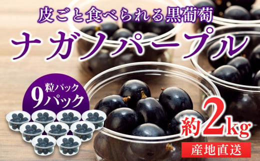 ぶどう ナガノパープル 粒パック 約2kg 皮ごと食べられる黒葡萄  葡萄 ぶどう ブドウ 長野 フルーツ 果物 信州産 長野県産 特産 産地直送 おすすめ デザート 　[№5675-1166]