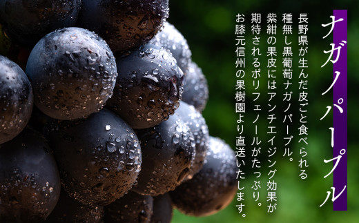 ぶどう ナガノパープル 粒パック 約2kg 皮ごと食べられる黒葡萄  葡萄 ぶどう ブドウ 長野 フルーツ 果物 信州産 長野県産 特産 産地直送 おすすめ デザート 　[№5675-1166]