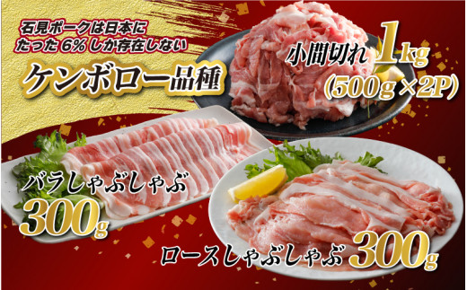 豚肉　石見ポーク しゃぶしゃぶセット1.6kg（ロースしゃぶしゃぶ用300g×1バラしゃぶしゃぶ用300g×1小間切れ500g×2）