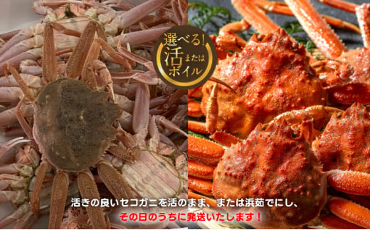 ９２１．【活】鳥取県産　セコガニ　訳あり良品　1ｋg(5～7枚)《かに カニ 蟹 セコガニ》
※2024/11/6～2024/12/25に順次発送予定
※着日指定不可  離島不可（北海道、沖縄本島は配送可能）
