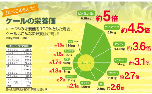 ケールラーメン 6個入り カップ麺 ケール粉末練り込み麺 あっさり塩味