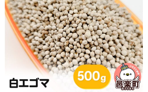 白エゴマ 500g×1袋 サイトウ・コーポレーション 飼料