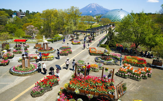 【TH01】とっとり花回廊ギフト入園券２枚