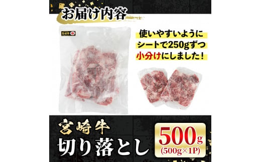 宮崎牛 切り落とし(500g) 牛肉 肉 ブランド牛  冷凍 国産 精肉 お取り寄せ 黒毛和牛 宮崎県 【LJ004】【レグセントジョイラー株式会社】