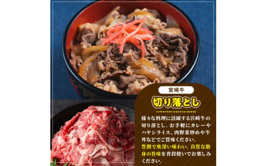 宮崎牛 切り落とし(500g) 牛肉 肉 ブランド牛  冷凍 国産 精肉 お取り寄せ 黒毛和牛 宮崎県 【LJ004】【レグセントジョイラー株式会社】