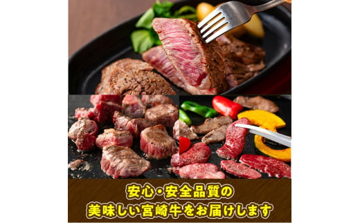 宮崎牛 切り落とし(500g) 牛肉 肉 ブランド牛  冷凍 国産 精肉 お取り寄せ 黒毛和牛 宮崎県 【LJ004】【レグセントジョイラー株式会社】