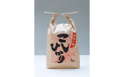 こしひかり 精米 5kg ／ 積木商店 お米 白米 米 こめ ご飯 おいしいお米 三重県 大台町