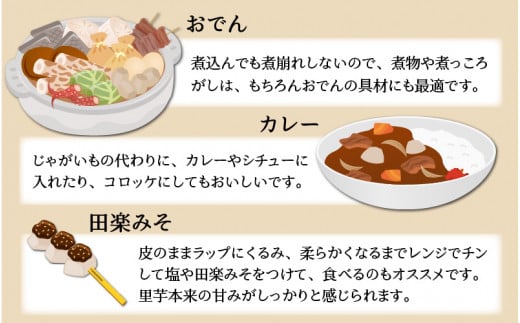 【先行予約】【11月発送分】上庄さといも 10kg 減農薬・減化学肥料の特別栽培里芋