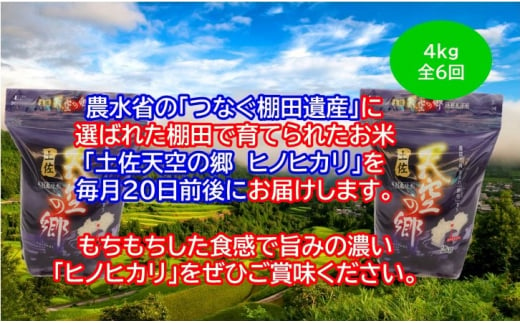 農林水産省の「つなぐ棚田遺産」に選ばれた棚田で育てられた土佐天空の郷 ヒノヒカリ 4kg定期便 毎月お届け 全6回