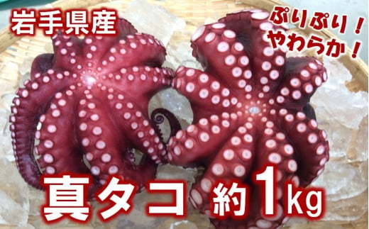 【年内発送】 北三陸産 蒸し真タコ丸ごと約1ｋｇ (２匹～５匹)  「プリプリ」「ふっくら」 「やわらか」 チョイス特集掲載『専門家が選んだ 夏の魚貝』 蛸 タコ 刺身 たこ焼き たこの唐揚げ たこめし タコ飯 年内 年内配送 年内お届け