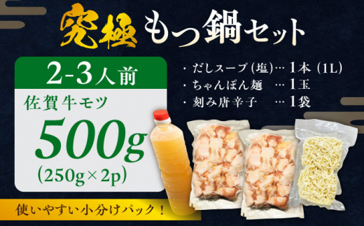 何度食べても飽きない美味しさ！こだわり 佐賀牛100% もつ鍋セット 500g(250g×2) 2~3人前 スープ・ちゃんぽん麺付 ホルモン 小腸 吉野ヶ里町/やきとり紋次郎 [FCJ100]