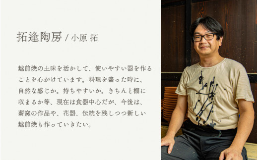 [e25-a024] 【越前焼】冷酒 3点セット 掛分白（片口、カップ × 2）拓逢陶房【コップ カップ 食器  ギフト うつわ 電子レンジ 食洗機  工芸品 陶芸作家 陶器 】