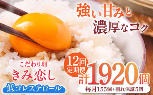 【12回定期便】きみ恋し 160個（155個+割れ保証5個）×12ヶ月 総計1920個 広川町/伊藤養鶏場 [AFAJ018]