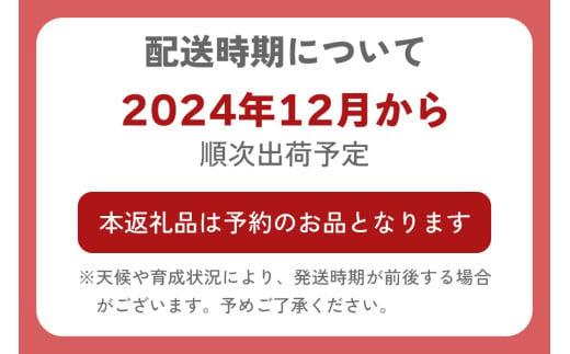 有機栽培キウイフルーツ (約2kg) [黒澤農園] 12月中旬より順次発送｜数量限定 期間限定 キウイ ヘイワード 果物 果実 フルーツ 農家直送 産地直送 有機栽培 国産 甘楽町産 群馬県産 [0245]