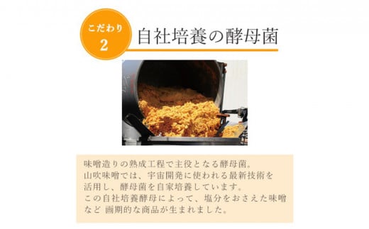 山吹味噌　大寒仕込み1kg×2 [№5915-0998]