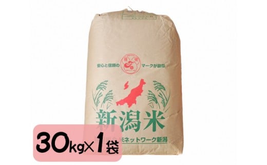 【令和6年産米】新潟県加茂市産コシヒカリ 玄米30kg 一等米 お米の専門店 古川商店