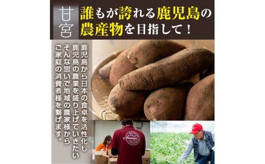 【0122619a】東串良の紅はるか冷凍焼き芋(合計約2kg・1kg×2袋)冷凍 焼芋 焼き芋 やきいも さつまいも さつま芋 スイーツ 熟成【甘宮】