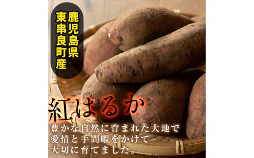 【0122619a】東串良の紅はるか冷凍焼き芋(合計約2kg・1kg×2袋)冷凍 焼芋 焼き芋 やきいも さつまいも さつま芋 スイーツ 熟成【甘宮】