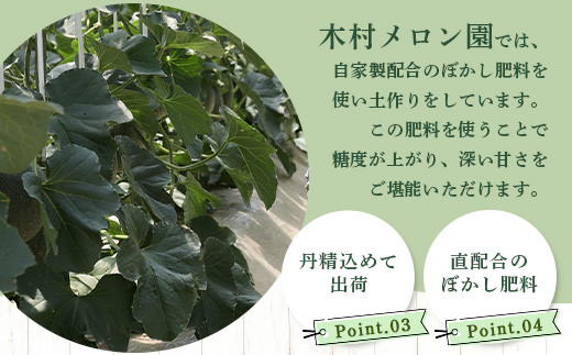 【 2025年4月中旬～発送開始 】 先行予約 グラバーメロン 3玉 【 熊本県 多良木町産 上品な味 高糖度 甘い メロン ぐらばー めろん 熊本メロン 】013-0557-2025