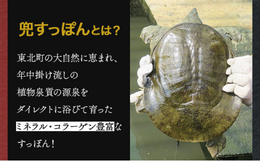 モール温泉「兜すっぽん」鍋　醤油・生姜味2セット　【兜すっぽん すっぽん すっぽん鍋 ミネラル コラーゲン 青森シャモロック スープ 青森県 贈り物 贈答 ギフト プレゼント】【02402-0169】