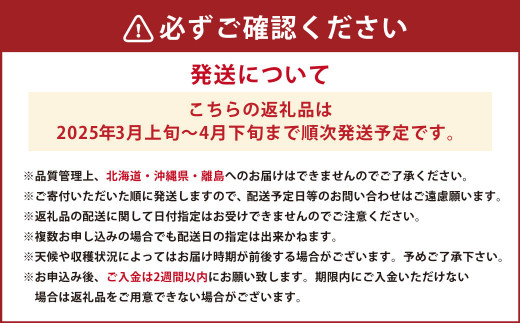 春のあまおう（2L・2A・G規格以上 約250-270g×6パック）