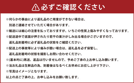 春のあまおう（2L・2A・G規格以上 約250-270g×6パック）