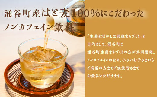 城山の金さんのはと麦茶 500ml×24本 ｜ お茶 麦茶 はと麦 ペットボトル ノンカフェイン 飲料　※2024年8月～12月頃に順次発送予定