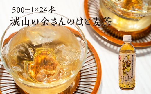 城山の金さんのはと麦茶 500ml×24本 ｜ お茶 麦茶 はと麦 ペットボトル ノンカフェイン 飲料　※2024年8月～12月頃に順次発送予定