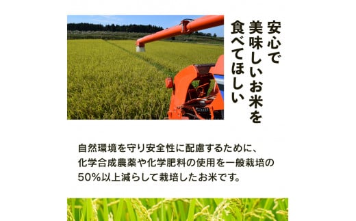 新米予約 特別栽培米 こしひかり 令和6年 米 30kg 白米 コシヒカリ 2024年産 国産 農家直送 環境こだわり 5分つき 玄米 にも対応 お試し用 小分け お米 こめ おこめ 新米 先行予約 農家直送 産地直送 滋賀県 竜王町